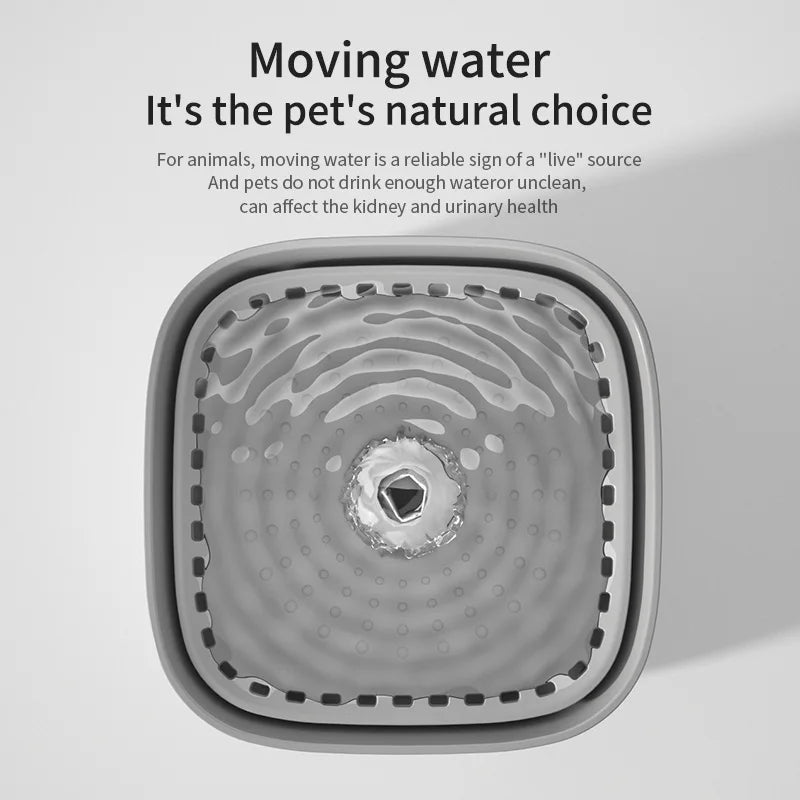 Filtered Water Fountain